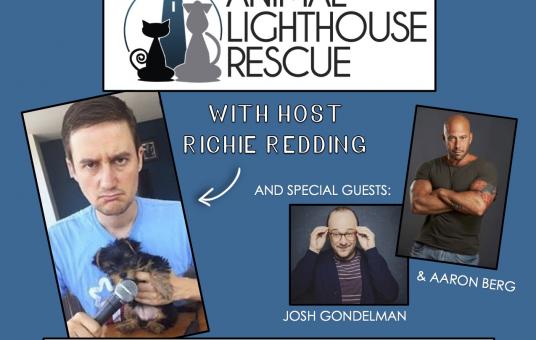 Zoom Comedy To The Rescue--Benefitting Animal Lighthouse Rescue